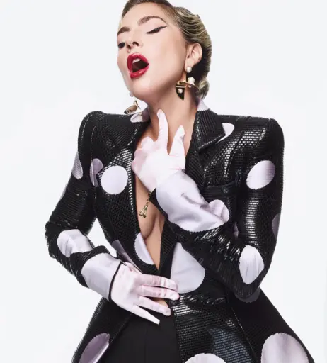 Image 2011511 from Lady Gaga