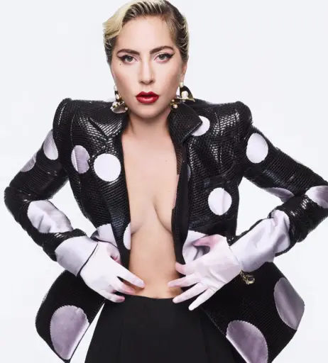 Image 2011538 from Lady Gaga