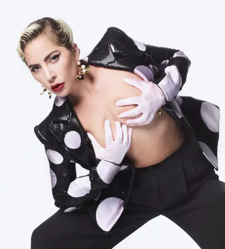 Image 2011451 from Lady Gaga