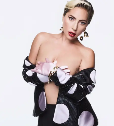 Image 2011768 from Lady Gaga