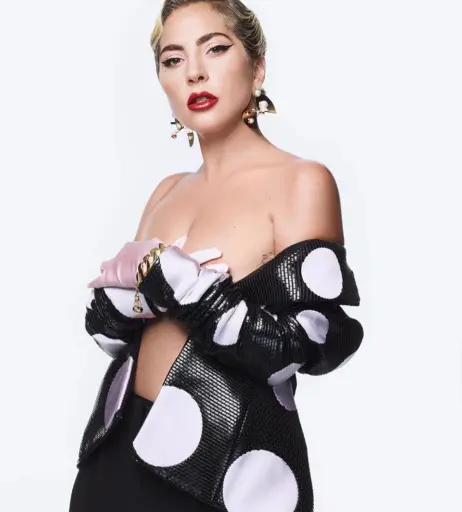 Image 2011163 from Lady Gaga
