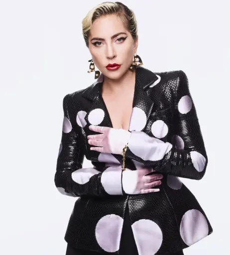 Image 2011109 from Lady Gaga
