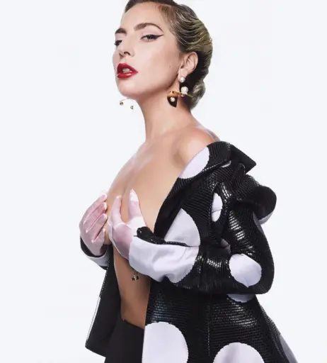Image 2011011 from Lady Gaga