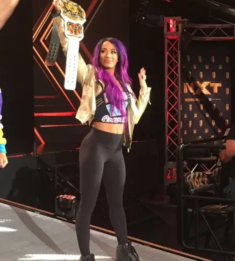 Image 2012244 from Sasha Banks