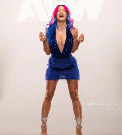 Image 2013177 from Sasha Banks