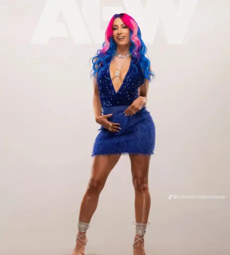 Image 2013329 from Sasha Banks