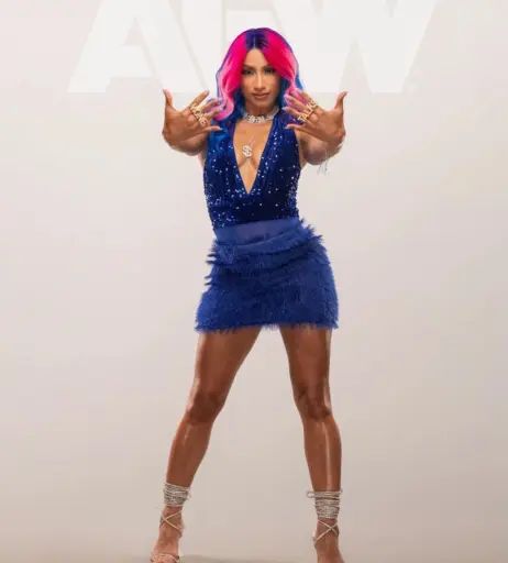 Image 2013270 from Sasha Banks