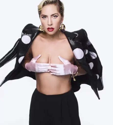 Image 2010862 from Lady Gaga