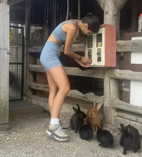 Image 2010444 from Lea Wagner