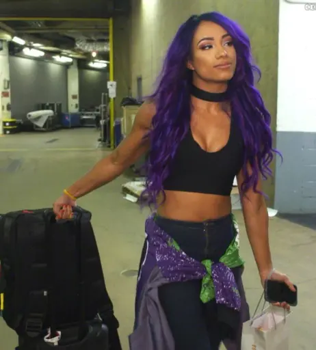Image 2010468 from Sasha Banks