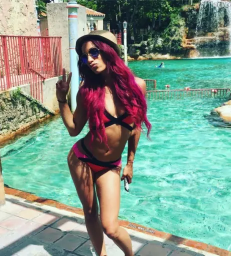 Image 2010350 from Sasha Banks