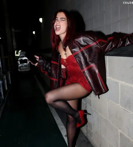 Image 2019898 from Dua Lipa