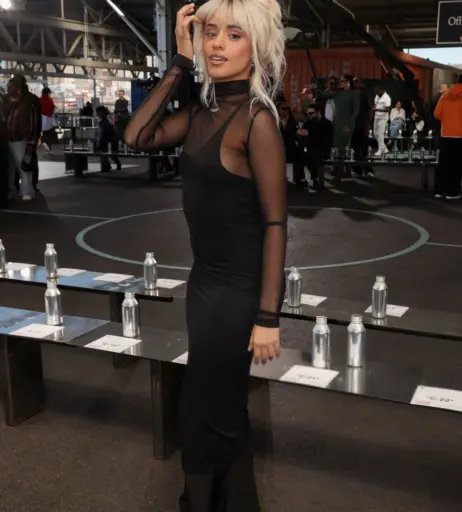 Image 2019509 from Camila Cabello