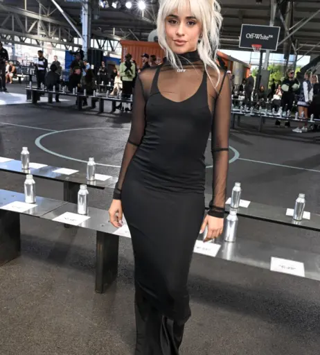 Image 2019377 from Camila Cabello