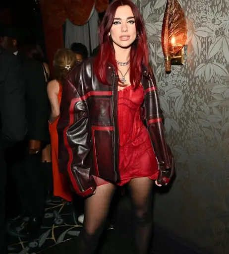 Image 2019365 from Dua Lipa