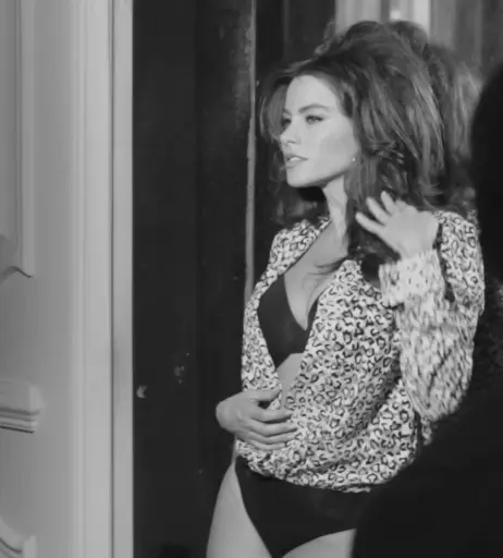 Image 2019954 from Sofia Vergara