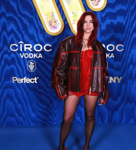 Image 2018821 from Dua Lipa