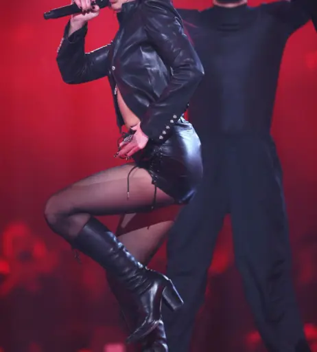 Image 2018293 from Dua Lipa