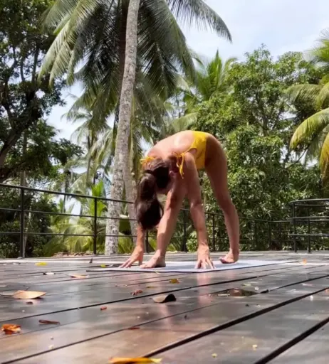 Image 2005882 from Vildan Cirpan