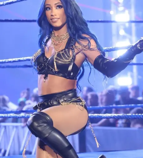 Image 2005477 from Sasha Banks