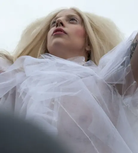 Image 2005196 from Lady Gaga