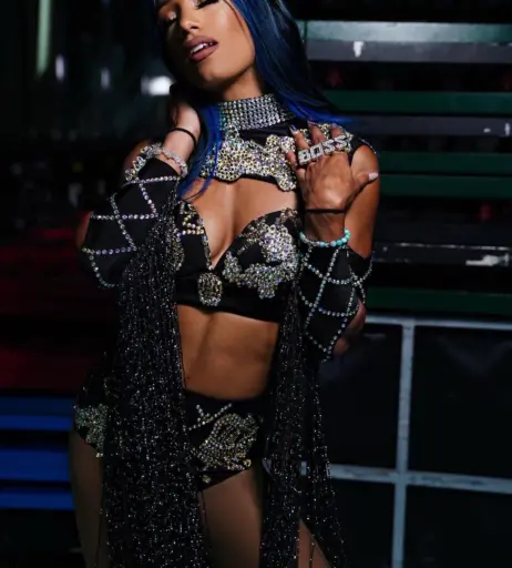 Image 2005939 from Sasha Banks