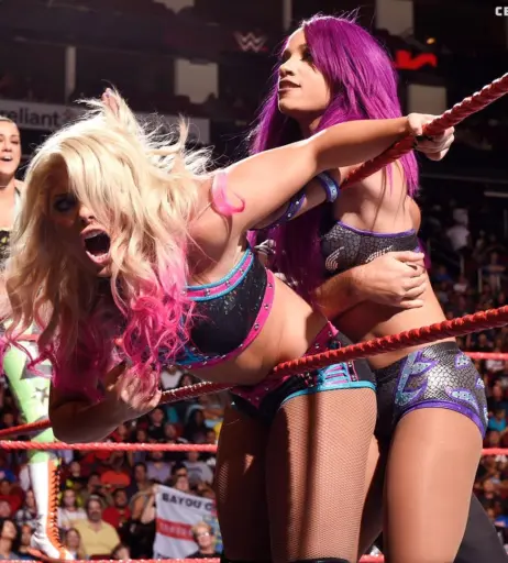 Image 2007645 from Sasha Banks