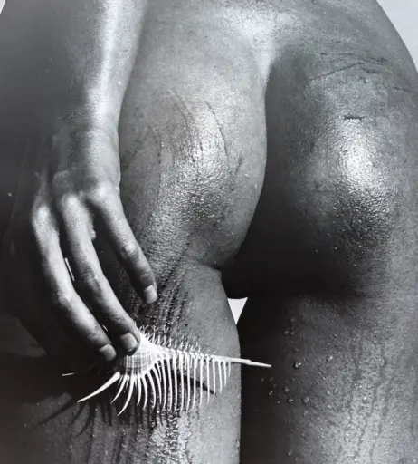 Image 2004212 from Marisa Papen