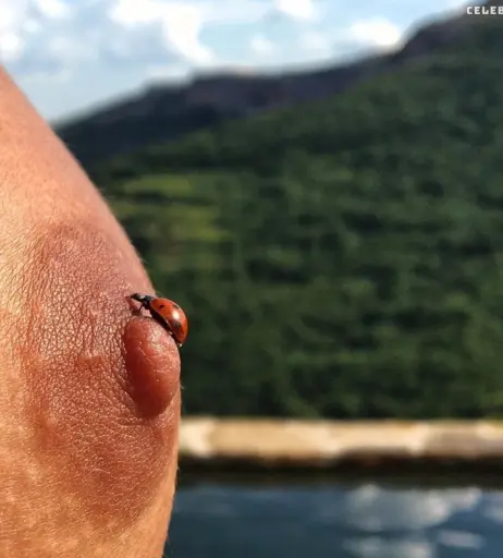 Image 2004229 from Marisa Papen