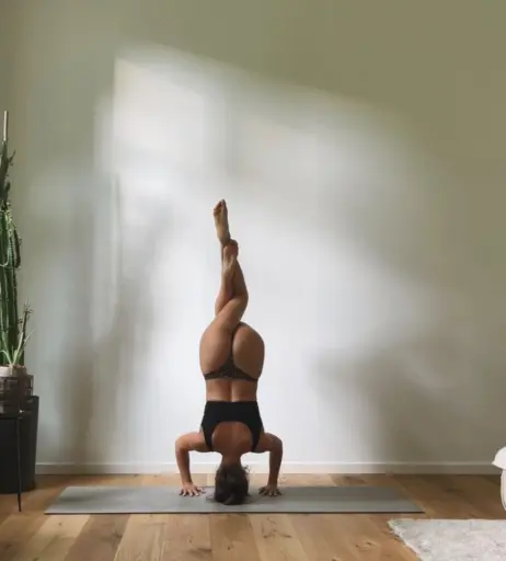 Image 2002120 from Vildan Cirpan