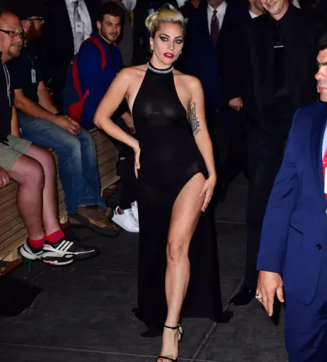 Image 2000409 from Lady Gaga