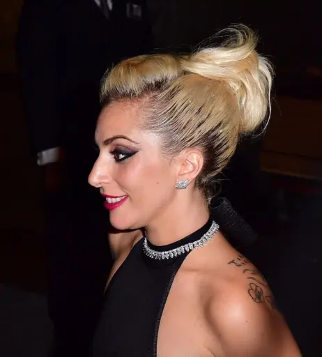 Image 2000180 from Lady Gaga