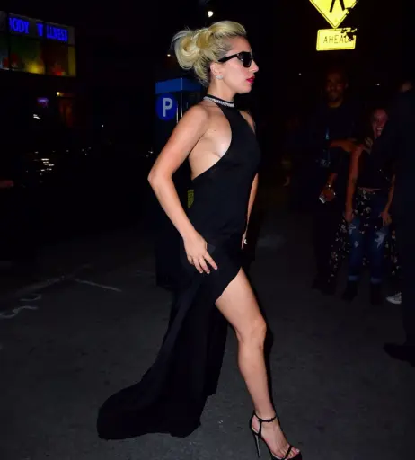 Image 2000386 from Lady Gaga