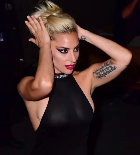 Image 2000254 from Lady Gaga