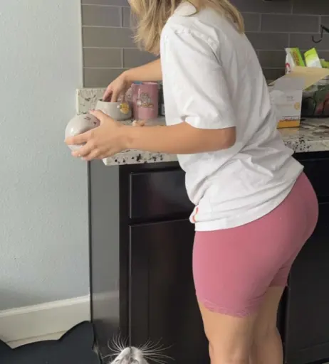 Image 11947307 from Amariah Morales