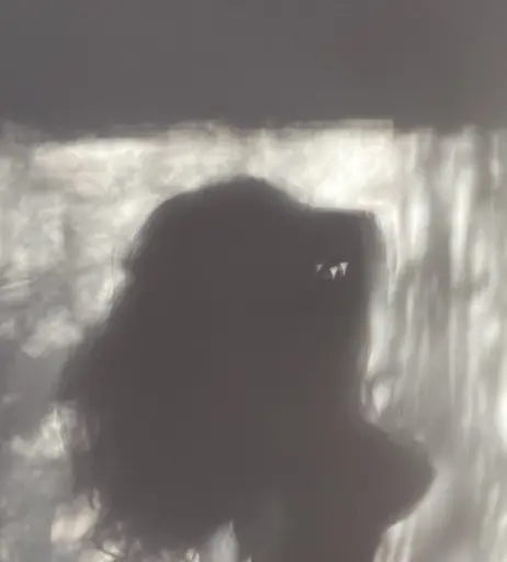 Image 11940975 from Stefanny Altair 🇦🇷