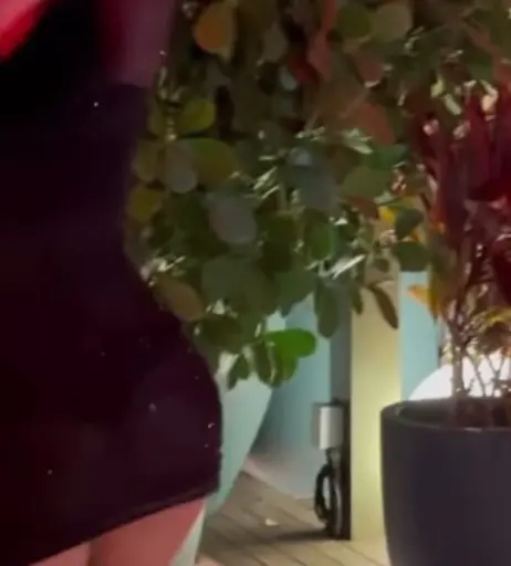 Image 11943369 from Charli D&#039;Amelio / Charli Damelio