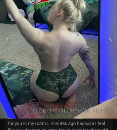 Image 11910397 from Ayshia Schisel/Elorahdaexplorah