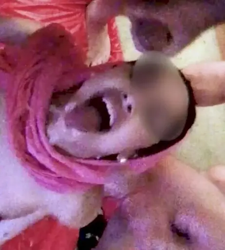 Image 11910285 from Arabteen / Bella Jameel