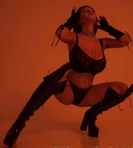 Image 11919240 from Adriana Fenice | Stacy Vandenburg