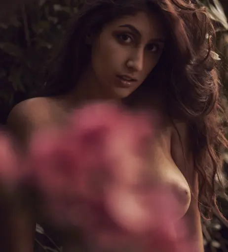 Image 11928666 from Ipek Ipekrules