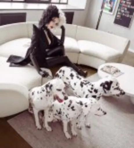 Image 11924323 from Xenon / Alinma