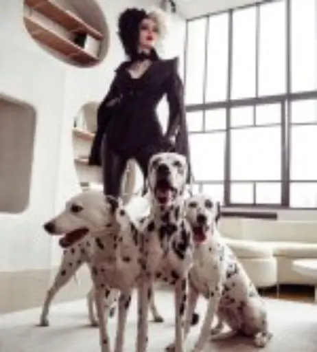 Image 11924321 from Xenon / Alinma