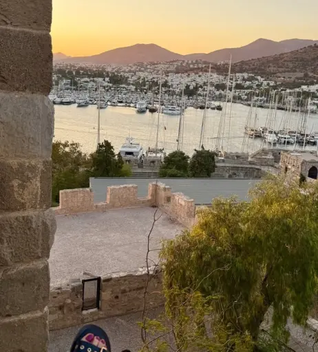 Image 11936393 from Merve Elmas / mrv.lms