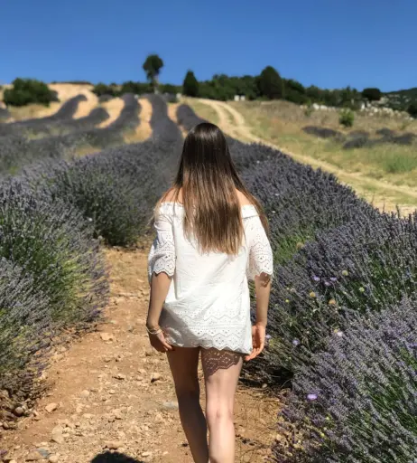 Image 11936384 from Merve Elmas / mrv.lms