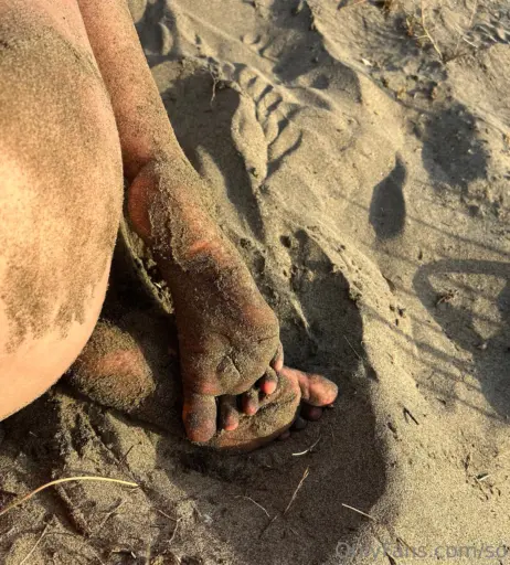 Image 11939874 from Sondaspaziale / Joe