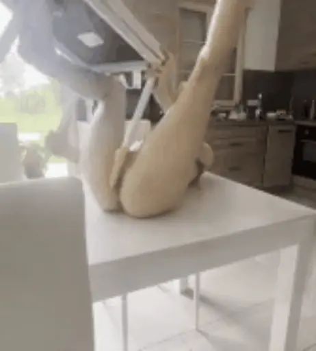 Image 11904372 from Bunnyfly