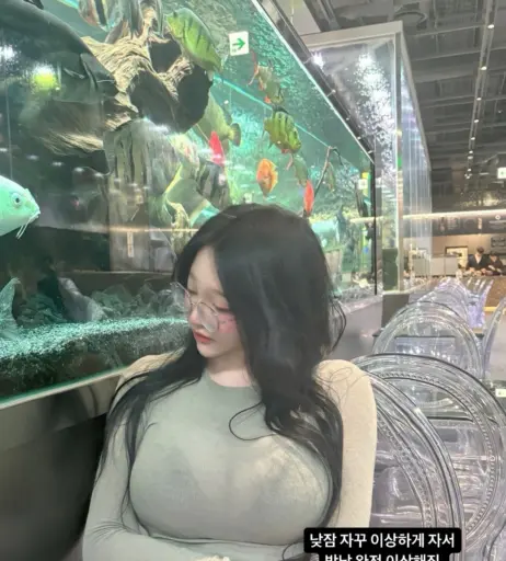 Image 11901228 from Soyeemilk__