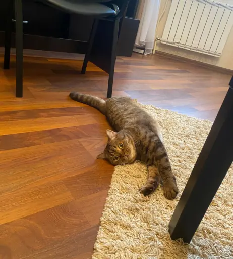 Image 11995074 from Elis222/elisfeet222