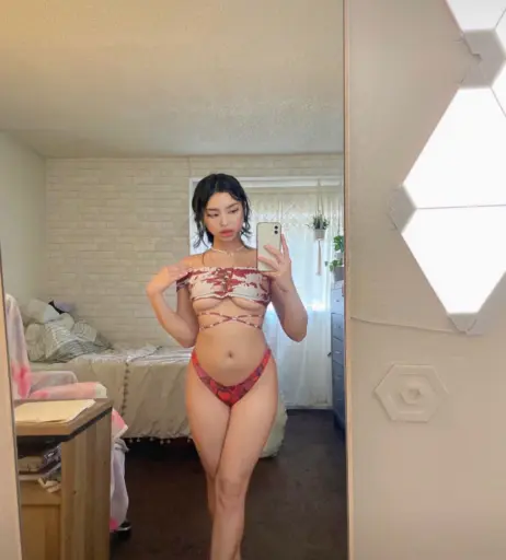 Image 11993807 from Plushydani/plushs/aloedvni